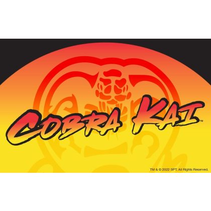 Foto - dětský kostým Cobra Kai