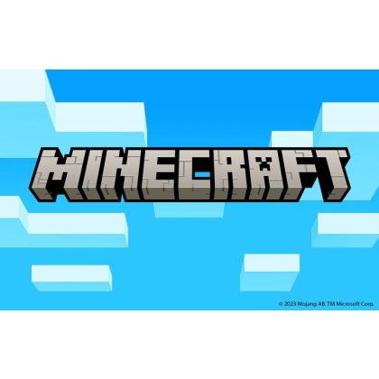 Foto - dětský kostým Minecraft